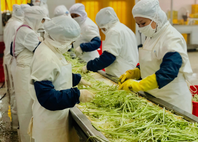 三種食品污水處理設(shè)備工藝流程，看看哪種適合您？